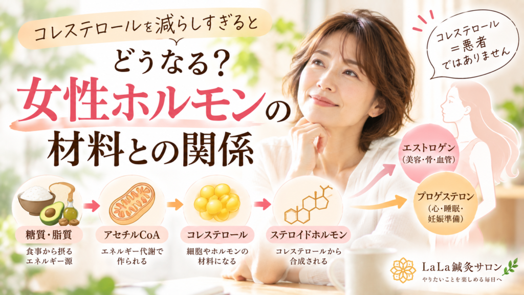 コレステロールを減らしすぎるとどうなる？女性ホルモンの材料との関係