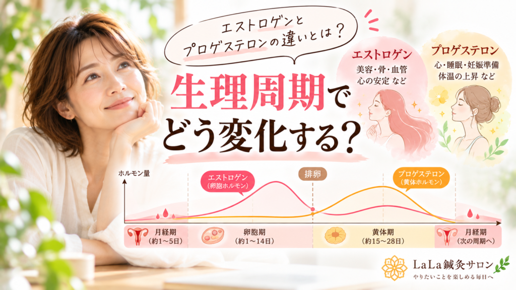 エストロゲンとプロゲステロンの違いとは？生理周期でどう変化する