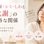 肌の乾燥・シミ・しわと「代謝」の意外な関係｜さいたま市の鍼灸師が解説
