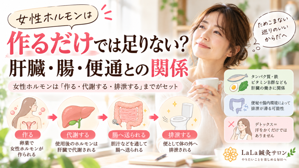 女性ホルモンは作るだけでは足りない？肝臓・腸・便通との関係