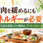 筋肉を緩めるにもエネルギーが必要？肩こりと体のエネルギーの関係｜和定食とデスクのイラスト